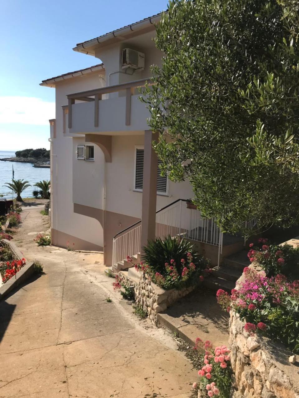Apartments And Rooms Ljubica Lun  Εξωτερικό φωτογραφία