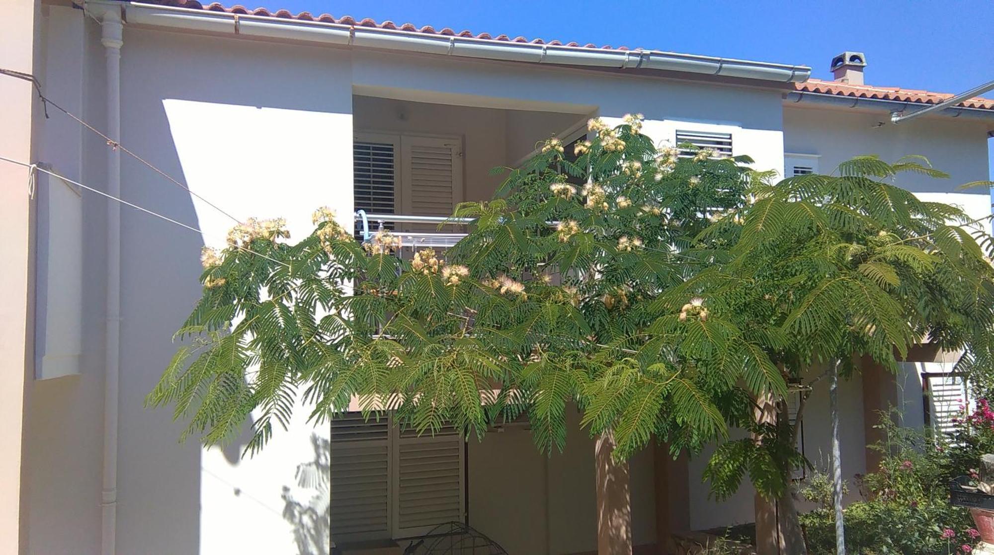 Apartments And Rooms Ljubica Lun  Εξωτερικό φωτογραφία